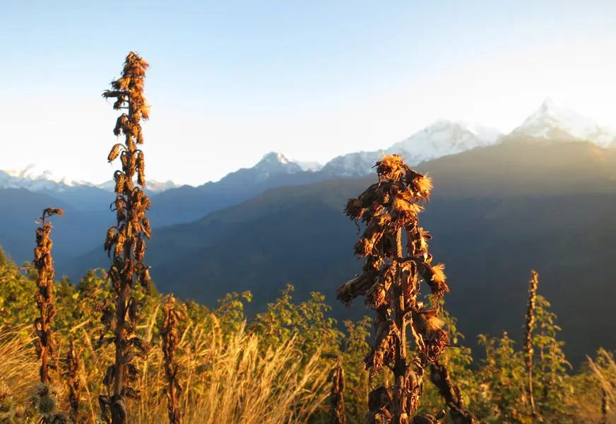 Poon Hill Trek Nepal
