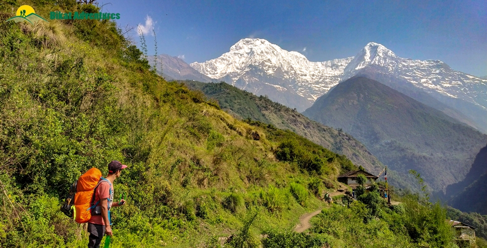Mardi Himal Trek