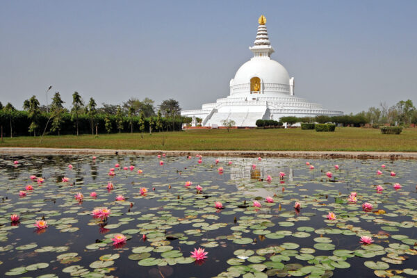 Buddhist Circuit Tour