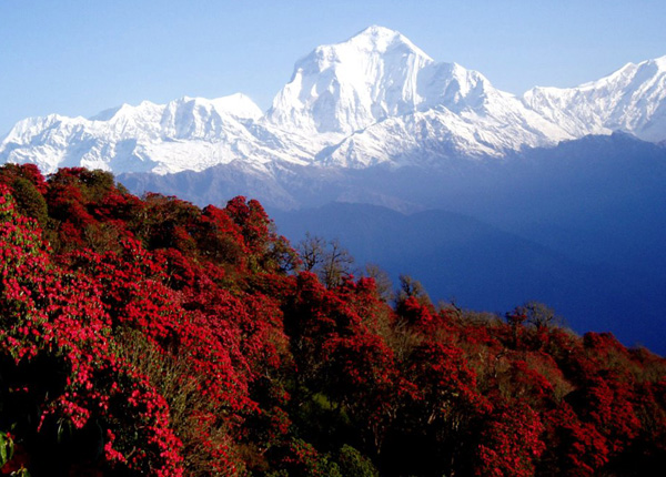 best time to visit Nepal- spring and autumn