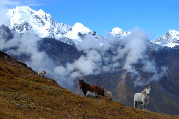 Tamang Heritage Trek