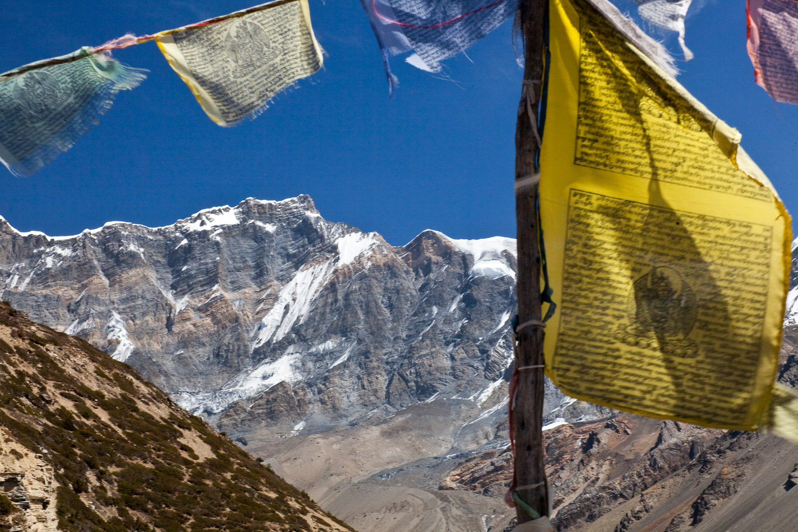 Annapurna Balcony Trek