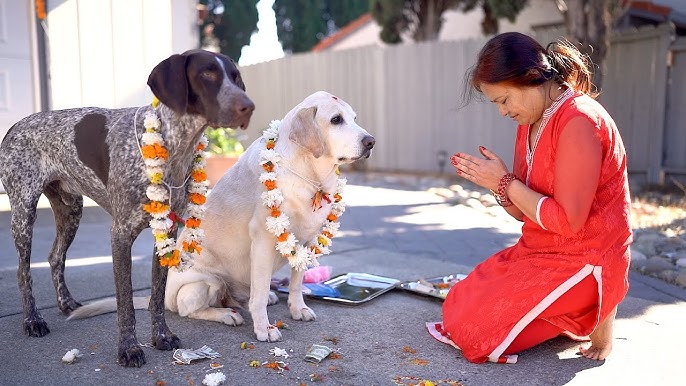 Tihar Diwali 2024