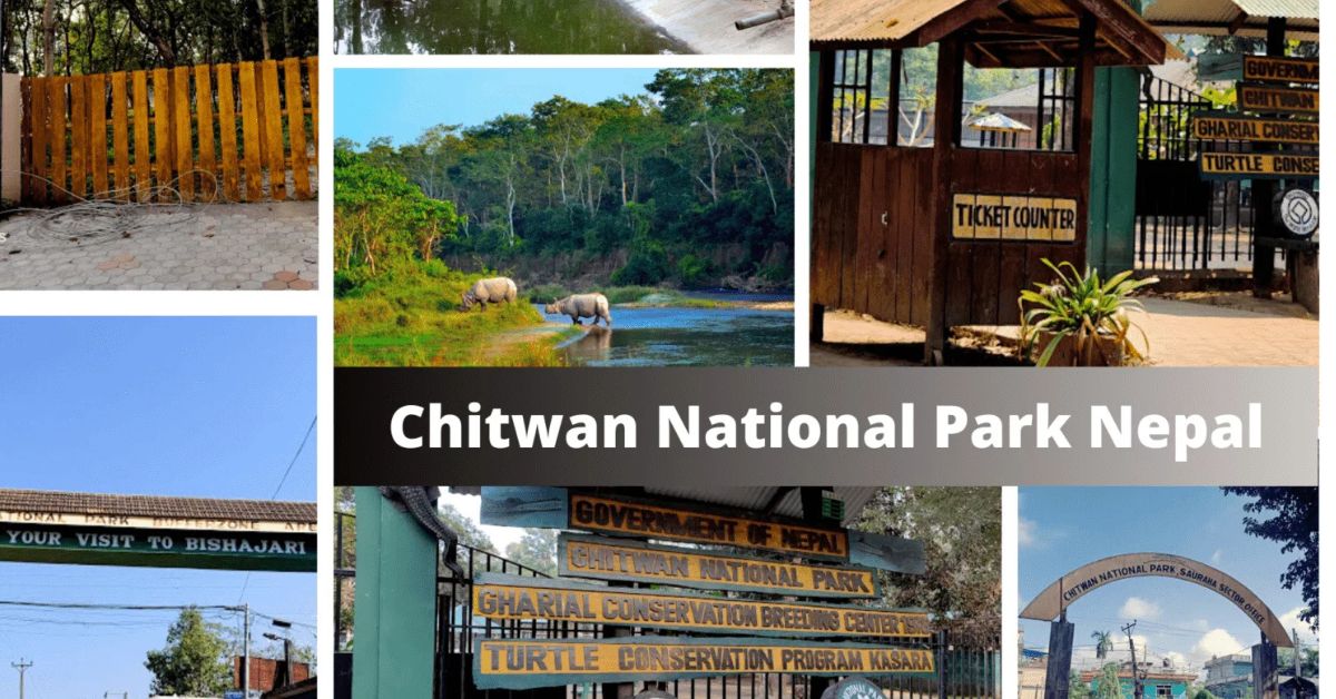 Things to Do in Chitwan National Park