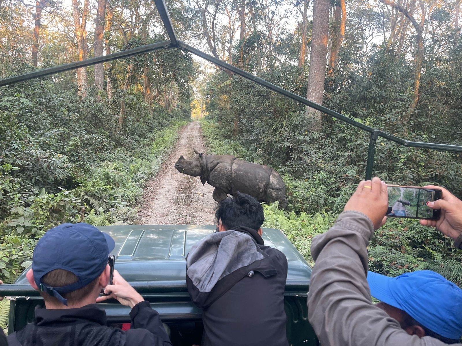 Safaris in Chitwan National Park: A Journey into Wildlife