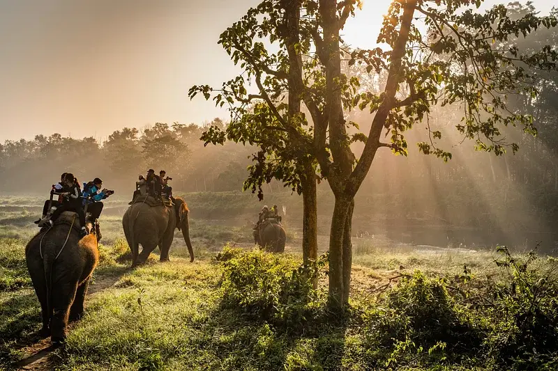 chitwan national park
