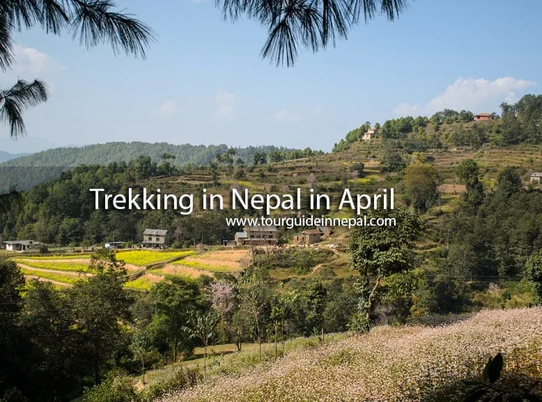 Trekking in Nepal in April