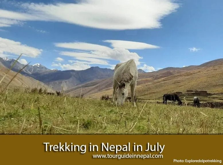 Trekking in Nepal in July