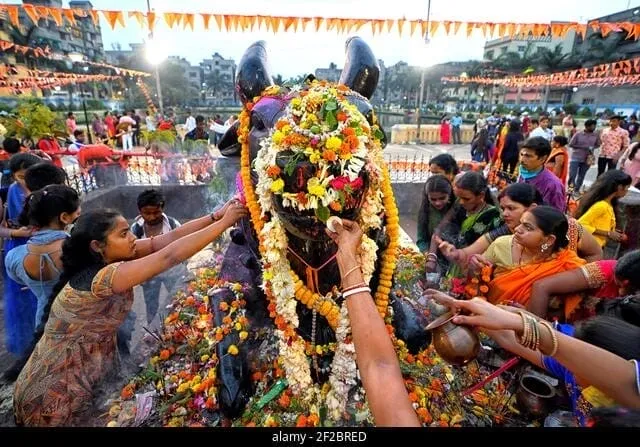 Women Worshipping Nandi Ji On Mahashivratri
