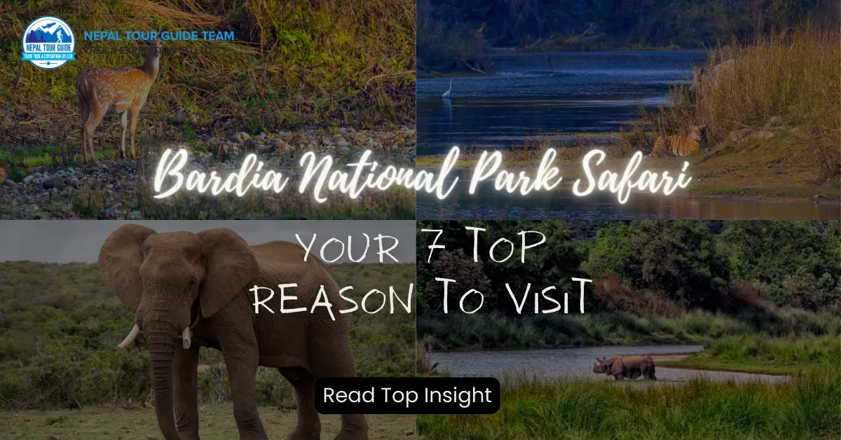 Bardia National Park Safari: Your 7 Top Reason To Visit Bardia National Park Safari: Your 7 Top Reason To Visit