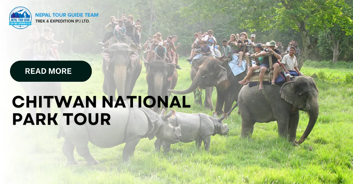 Chitwan National Park – The wildlife Safari