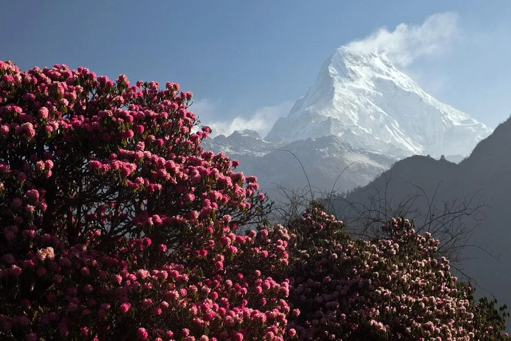 Plan your Annapurna Circuit Trek 2025: Ultimate Guide & Itinerary